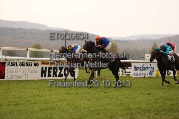 ET0Q0634 prot